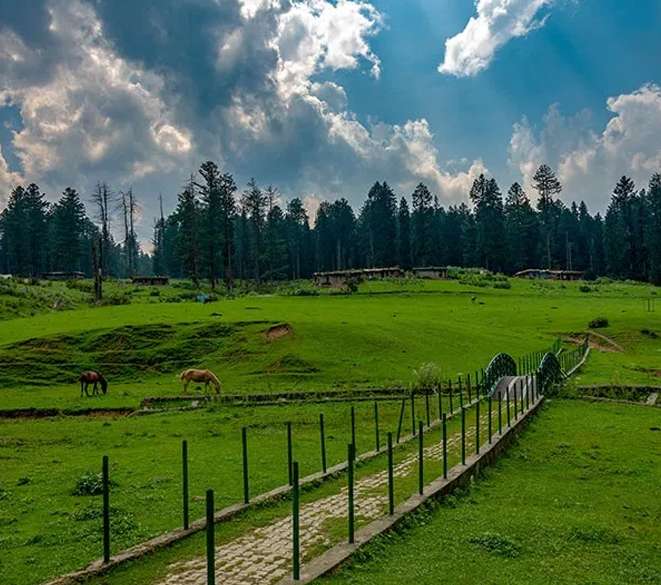 “Yusmarg: Nature’s Hidden Gem in Kashmir”